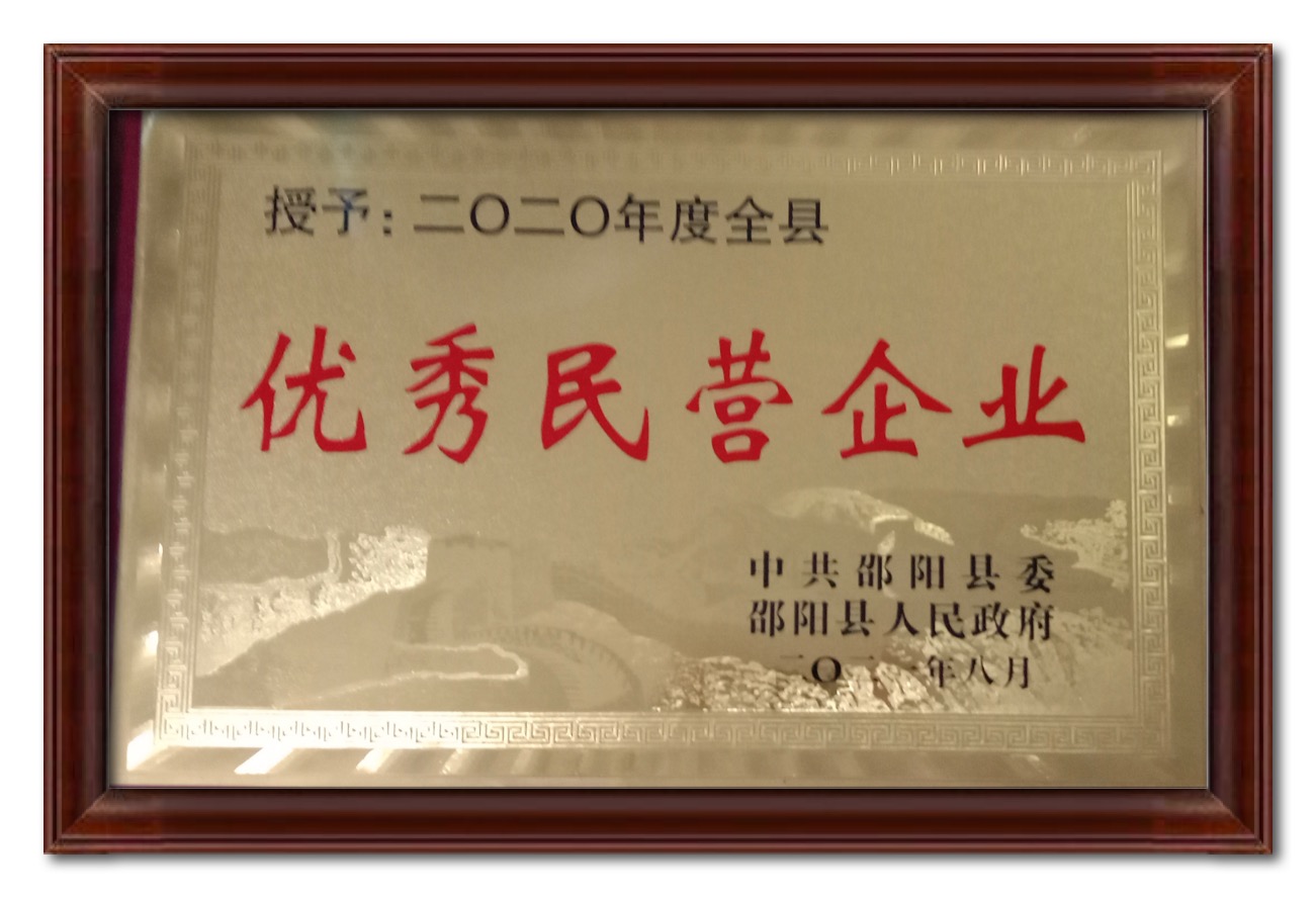 2020年優秀民營企業